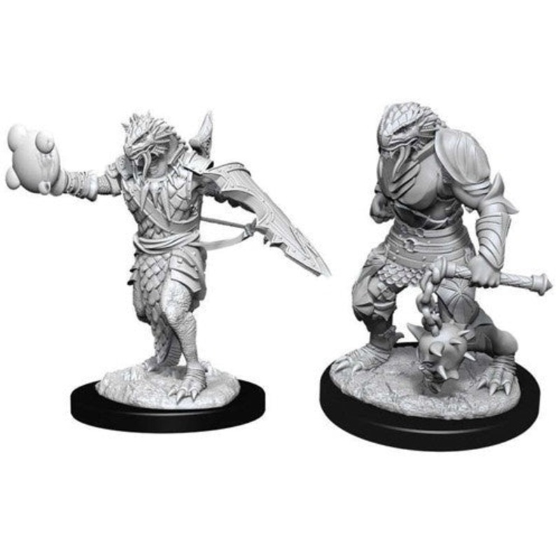 D&D Nolzur's Marvelous Miniatures - Male Dragonborn Paladin