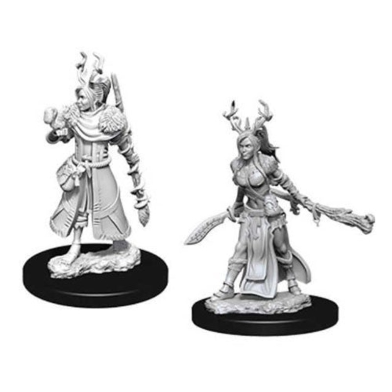 D&D Nolzur's Marvelous: Unpainted Miniatures - Female Human Druid