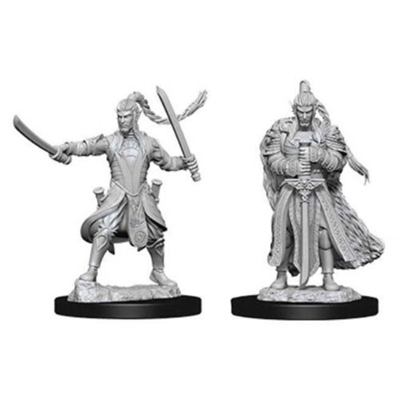 D&D Nolzur's Marvelous: Unpainted Miniatures - Male Elf Paladin