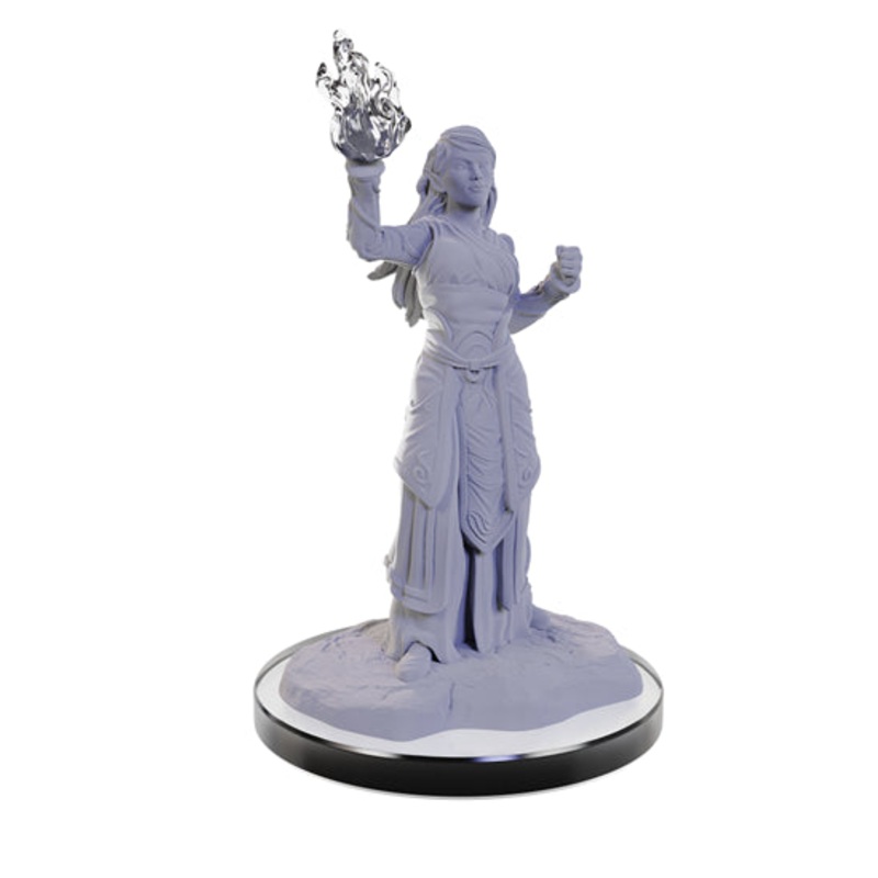 Nolzurs Marvelous Miniatures: Elf Wizards