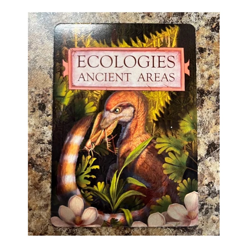 Ecologies: Ancient Areas