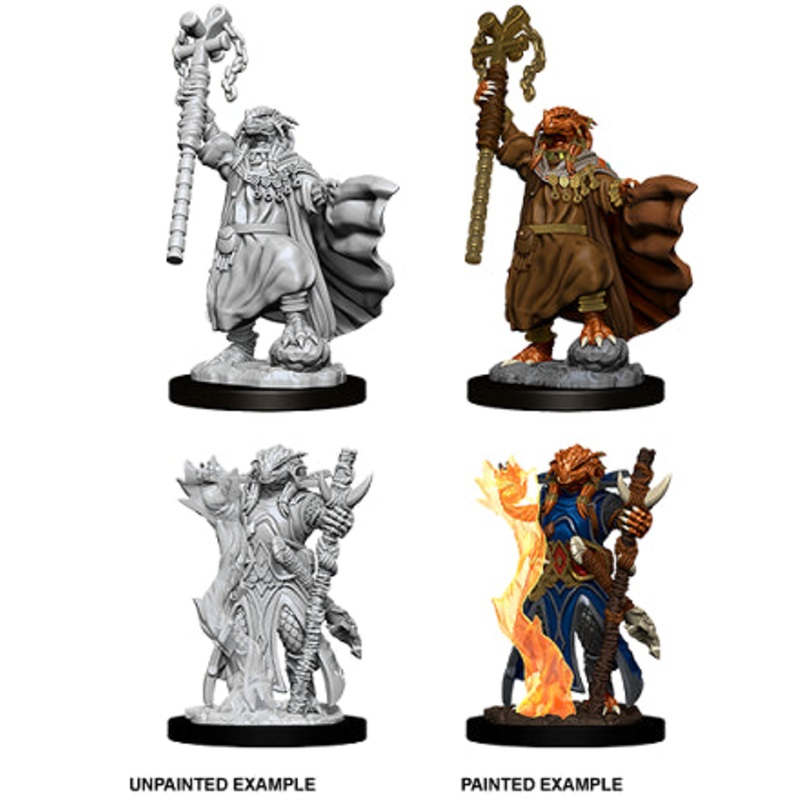 Nolzurs Marvelous Miniatures: Dragonborn Sorcerer (Female)