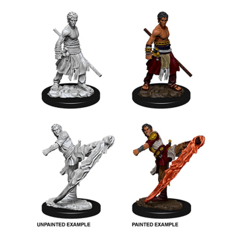Nolzurs Marvelous Miniatures: Half-Elf Monk Male