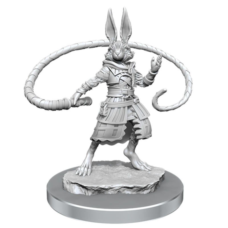 Nolzurs Marvelous Miniatures: Harengon Rogues
