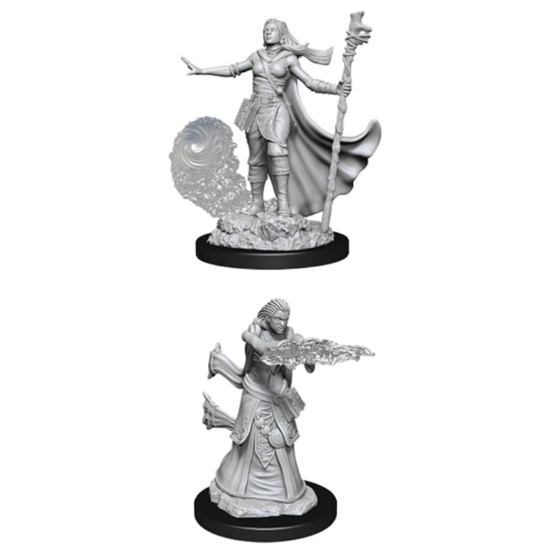 Nolzurs Marvelous Miniatures: Human Wizard Female
