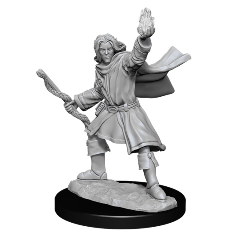 Pathfinder Deep Cuts Miniatures: Elf Sorcerer Male