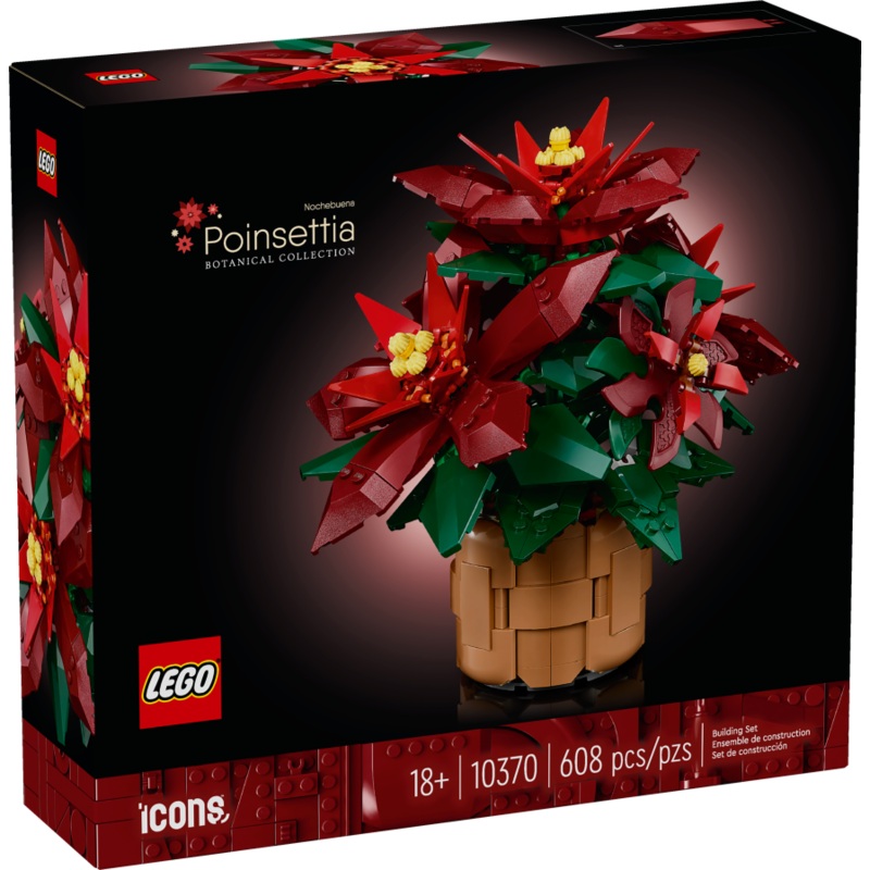 Poinsettia
