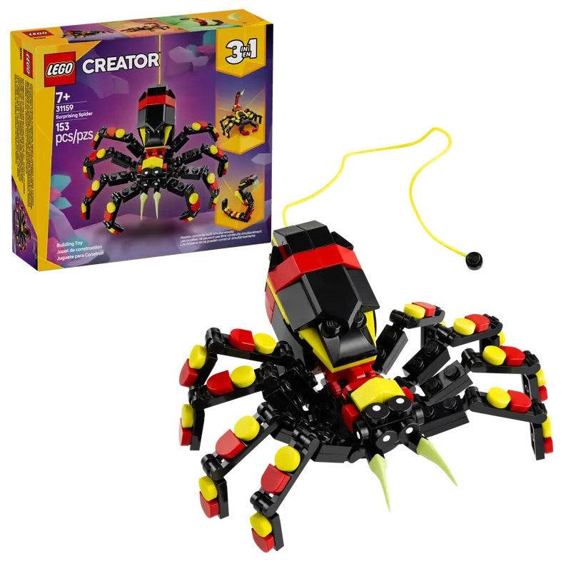 Wild Animal: Surprising Spider