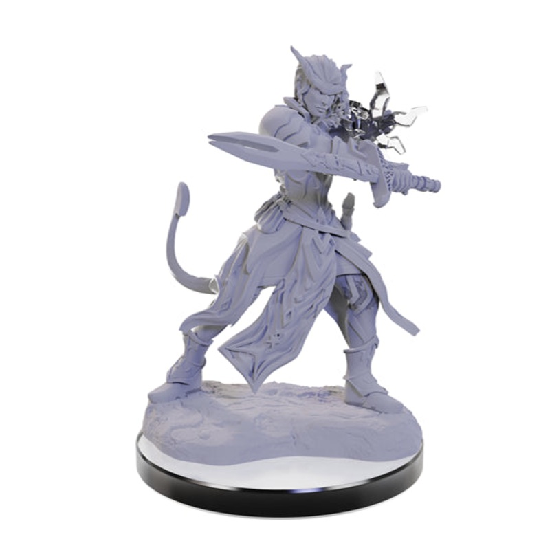 Nolzurs Marvelous Miniatures: Tiefling Warlocks