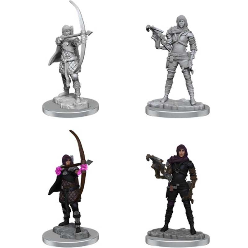 Nolzurs Marvelous Miniatures: Human Rogue