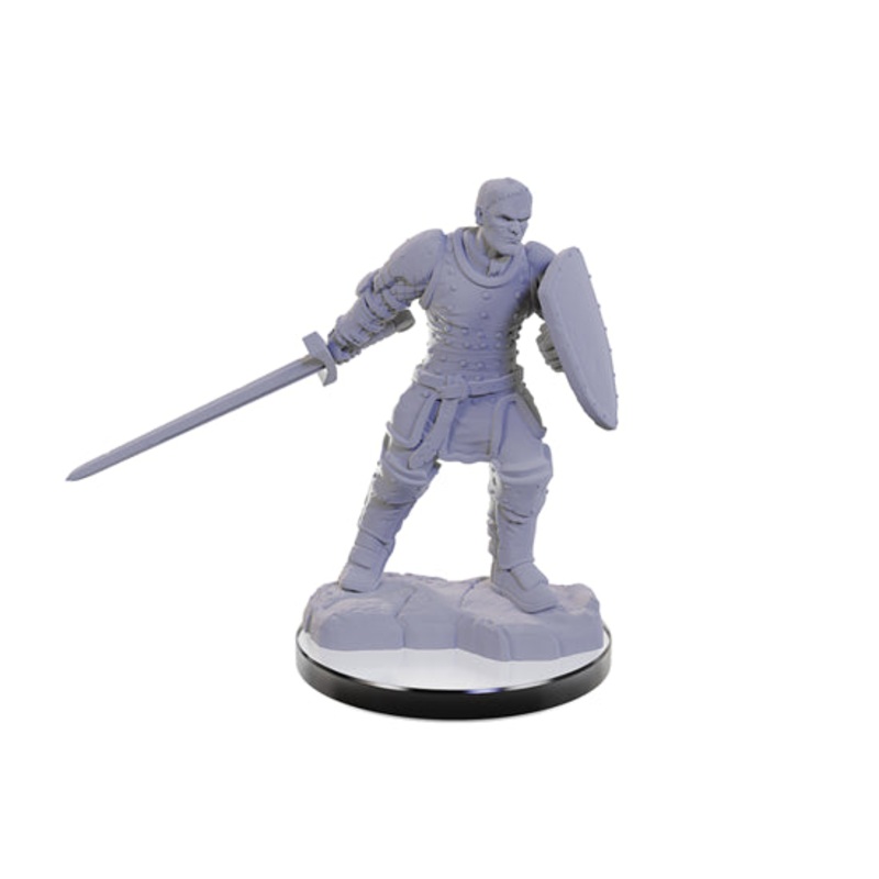 Nolzurs Marvelous Miniatures: Reborn Paladin/Warlock