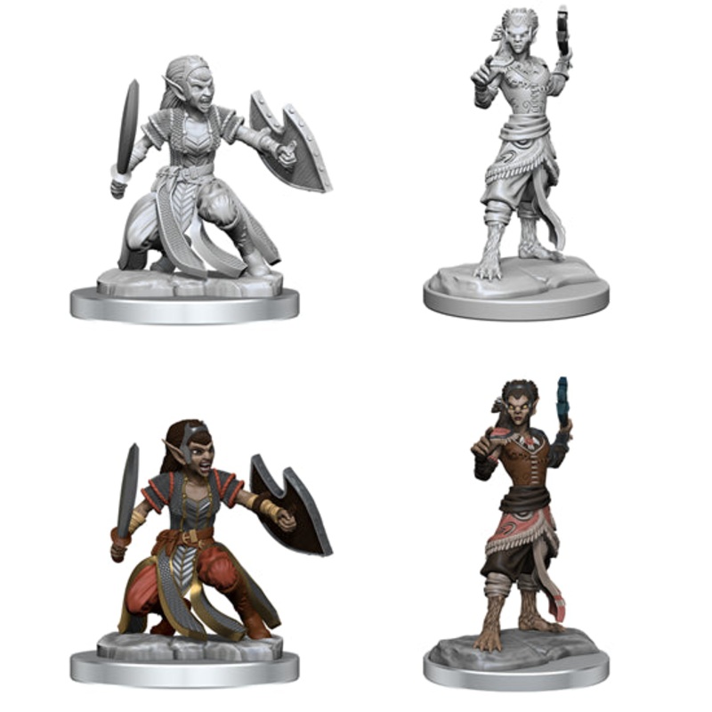 Nolzurs Marvelous Miniatures: Shifter Fighter