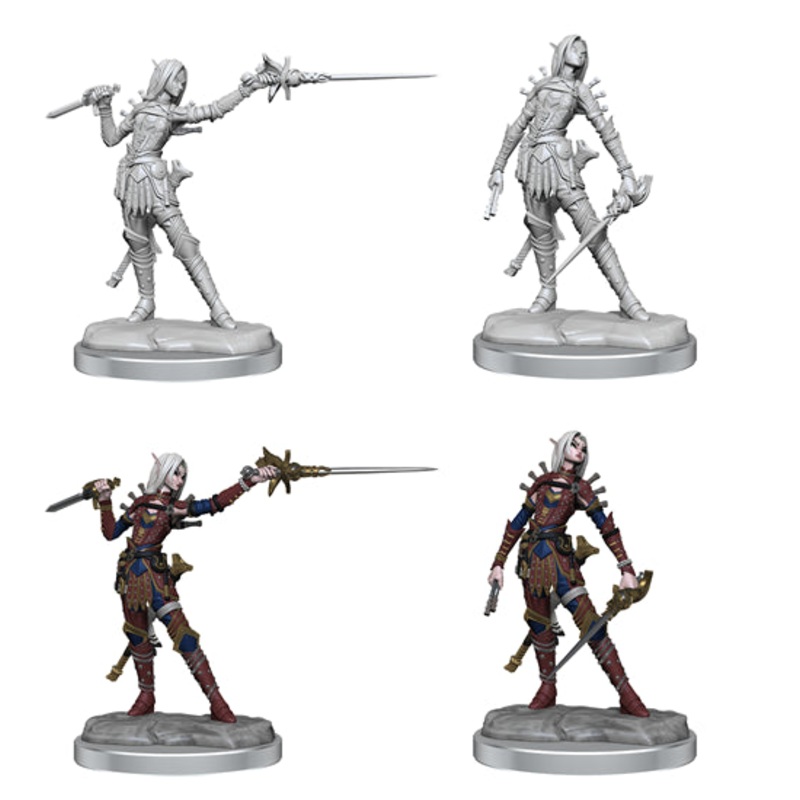 Pathfinder : Female Elf Rogue