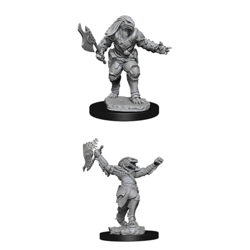 Nolzurs Marvelous Miniatures: Female Dragonborn Fighter