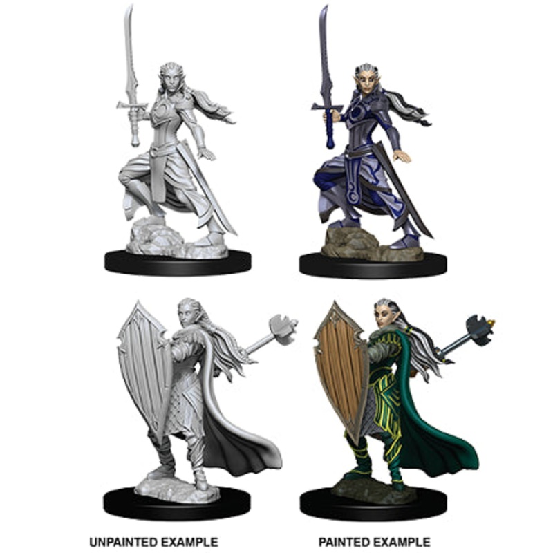 Nolzurs Marvelous Miniatures: Female Elf Paladin