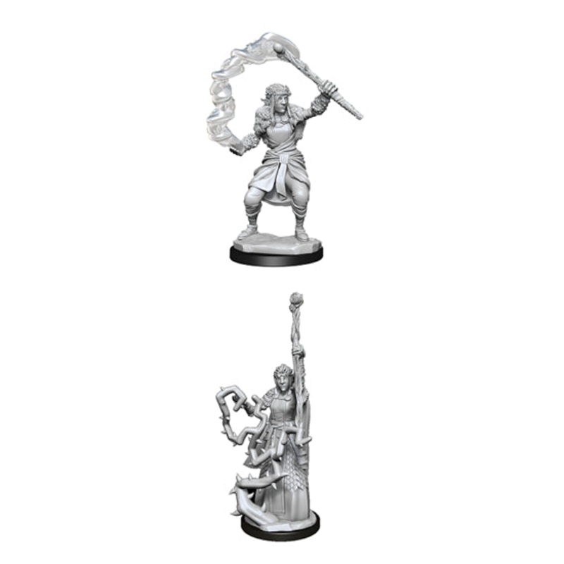Nolzurs Marvelous Miniatures: Firbolg Female Druid