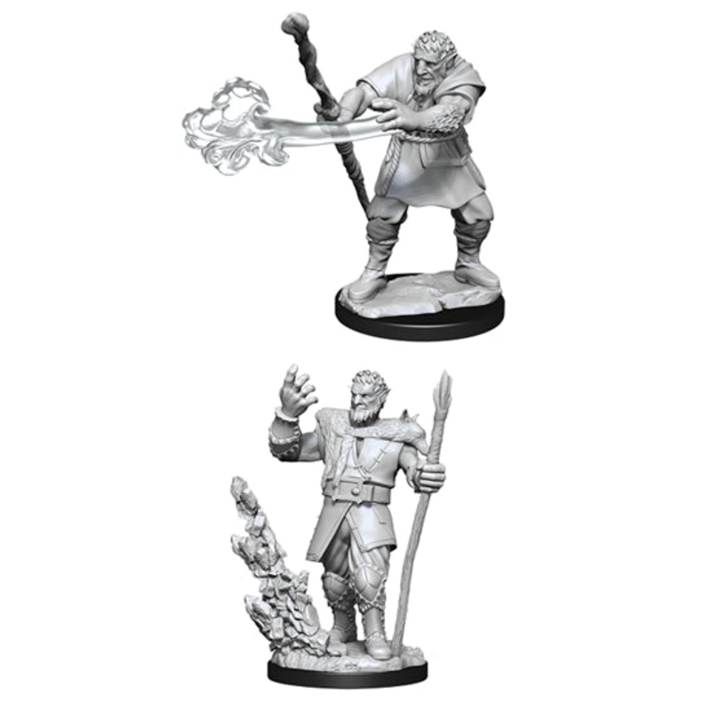 Nolzurs Marvelous Miniatures: Firbolg Male Druid