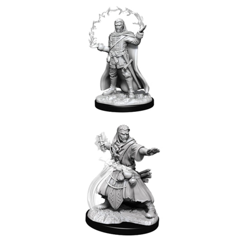 Nolzurs Marvelous Miniatures: Human Wizard Male