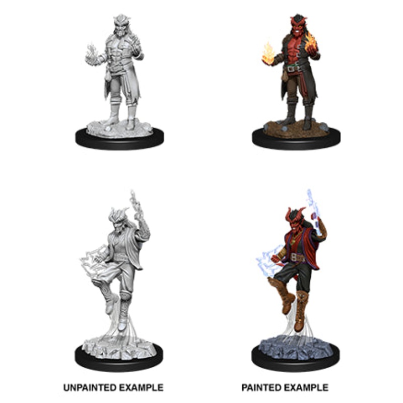 Nolzurs Marvelous Miniatures: Tiefling Sorcerer Male