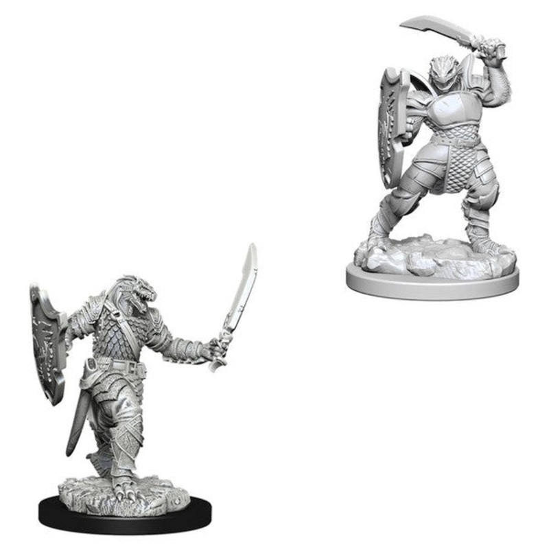 Nolzurs Marvelous Miniatures: Dragonborn Paladin Female