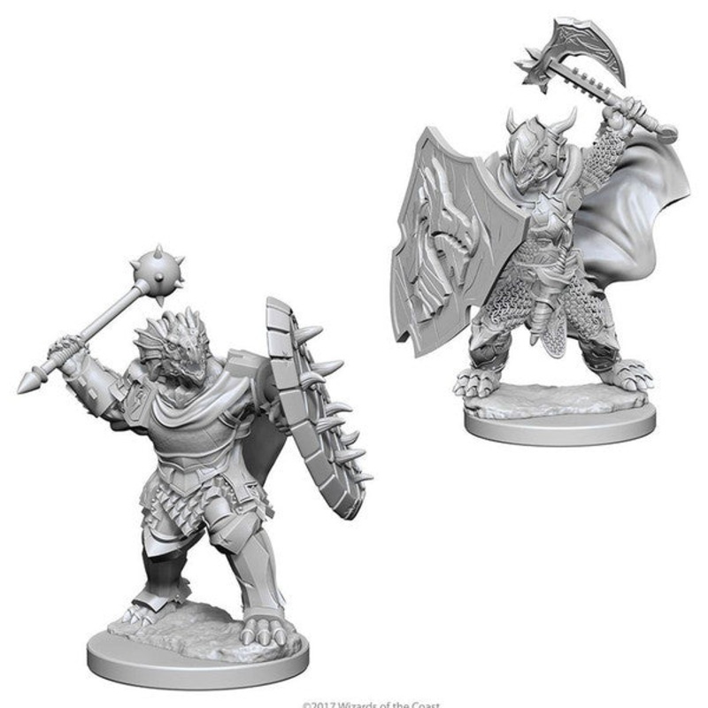 Nolzurs Marvelous Miniatures: Dragonborn Paladin Male