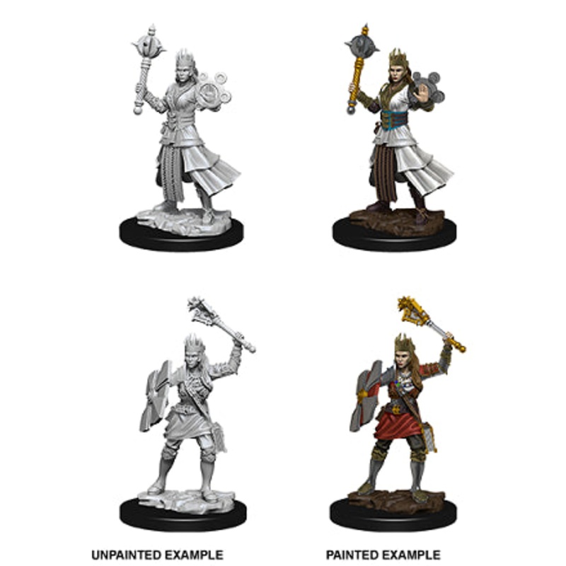 Nolzurs Marvelous Miniatures: Female Human Cleric