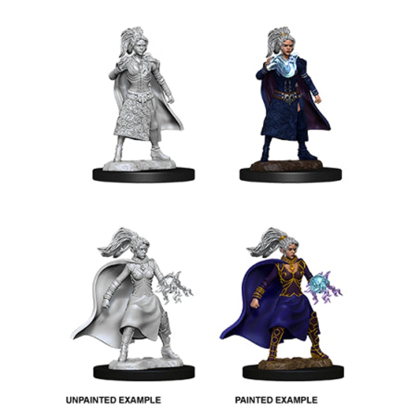 Nolzurs Marvelous Miniatures: Human Sorcerer Female