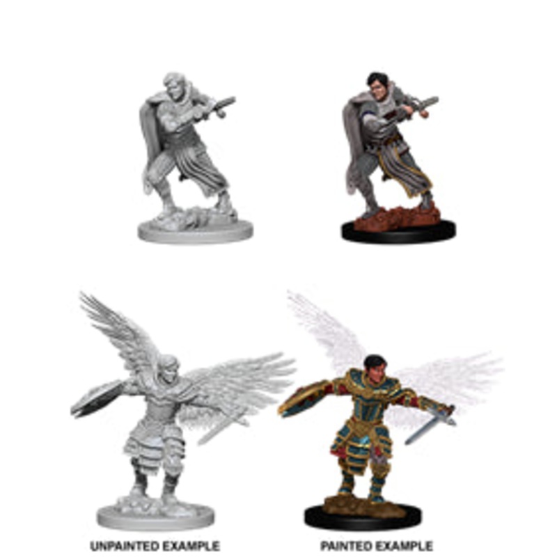Nolzurs Marvelous Miniatures: Male Aasimar Fighter