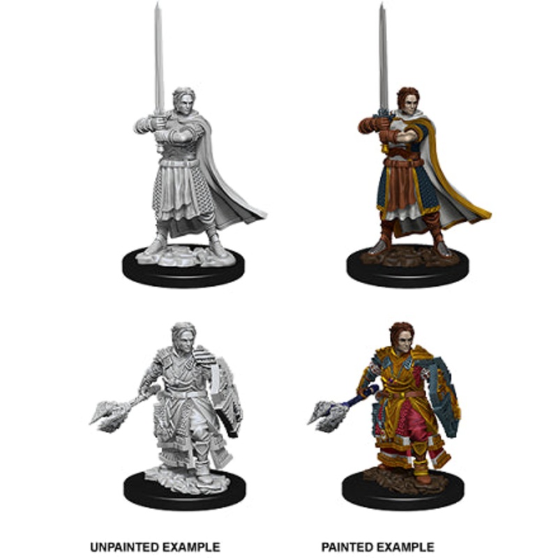 Nolzurs Marvelous Miniatures: Male Human Cleric