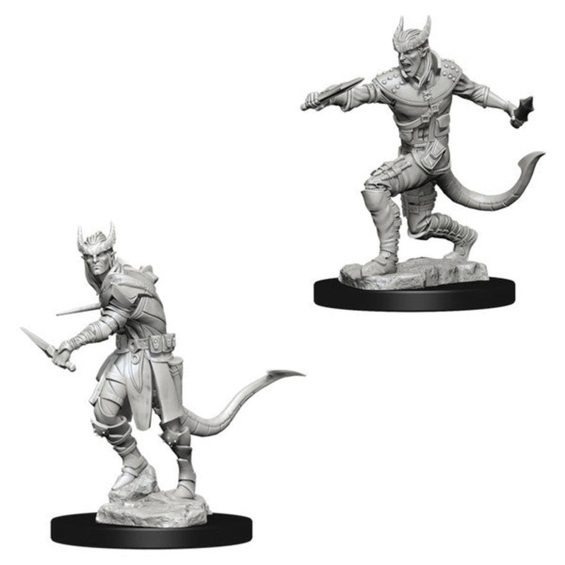 Nolzurs Marvelous Miniatures: Tiefling Male Rogue