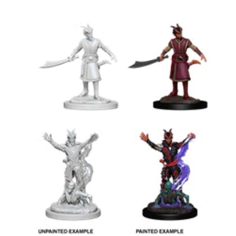 Nolzurs Marvelous Miniatures: Tiefling Warlock Male