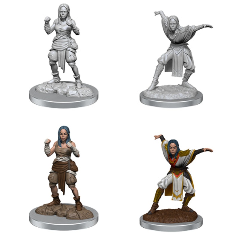 Pathfinder Deep Cuts: Half-Elf Monk Females