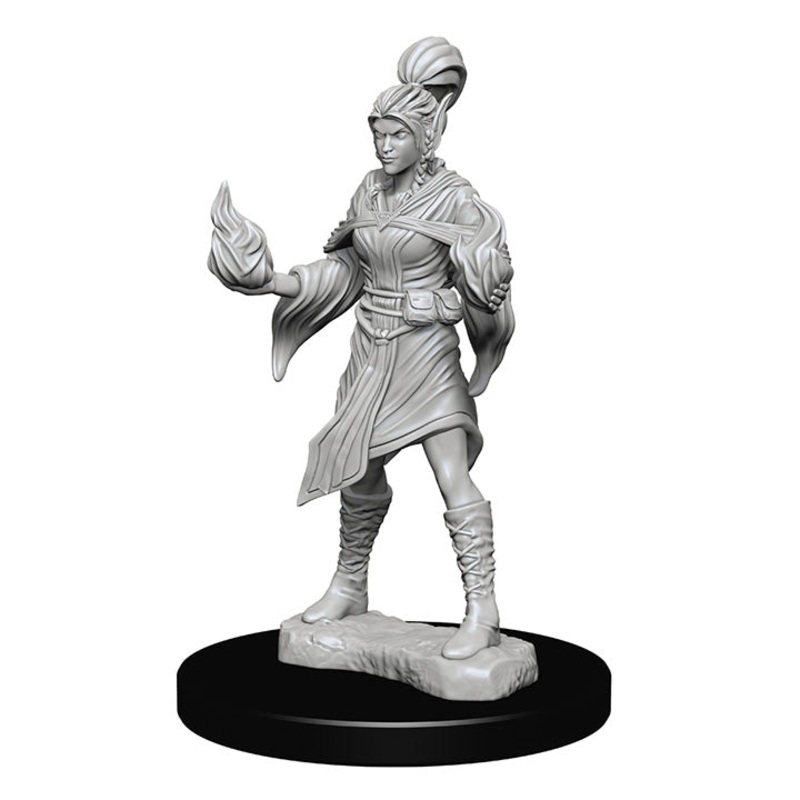 Pathfinder Deep Cuts Miniatures: Elf Female Sorcerer