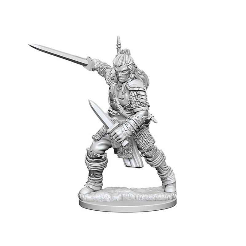 Pathfinder Deep Cuts Miniatures: Human Fighter Male