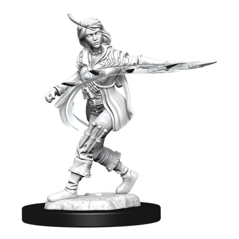 Pathfinder Deep Cuts Miniatures: Human Rogue Female
