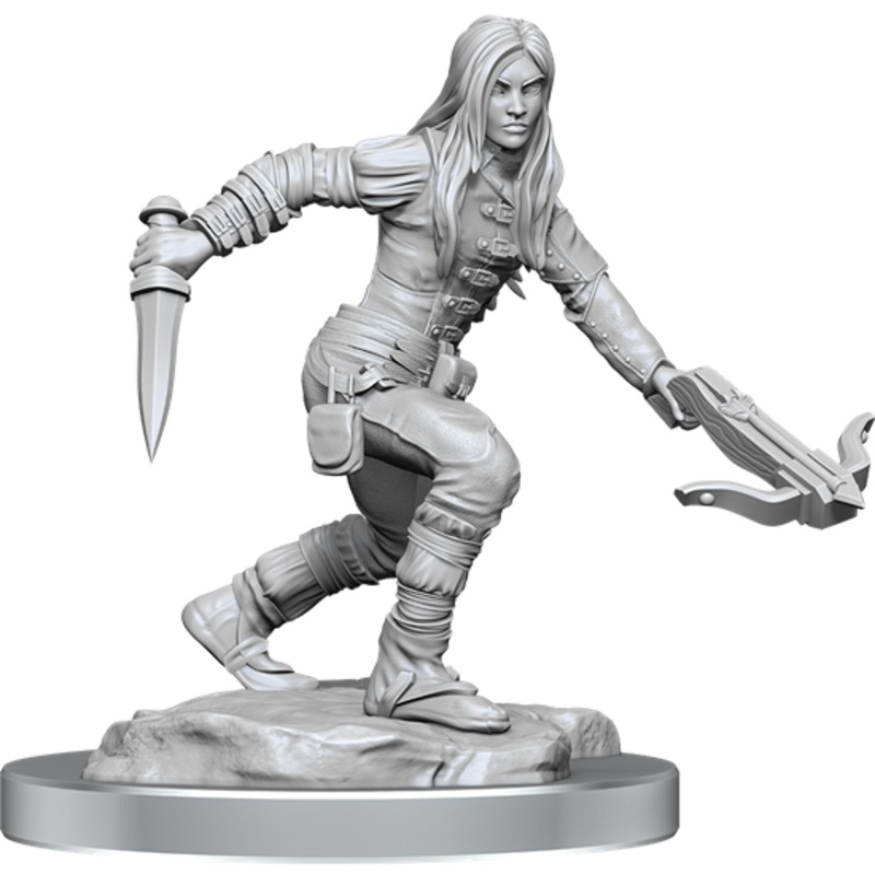 Nolzurs Marvelous Miniatures: Half-Elf Rogue Female