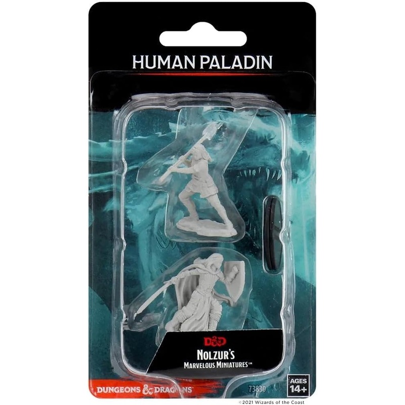 Nolzurs Marvelous Miniatures: Human Paladin Female