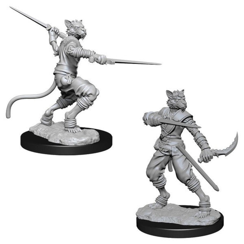 D&D: Nolzur's Marvelous Minis: Male Tabaxi Rogue W7