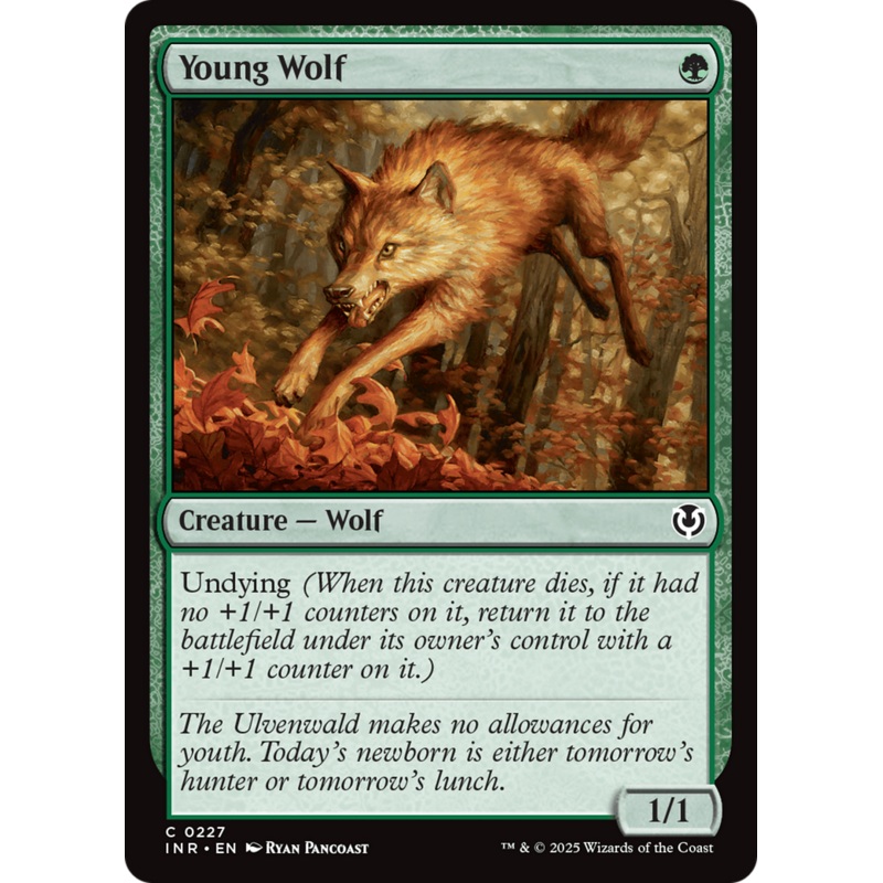 Young Wolf (INR-227) - Innistrad Remastered Foil