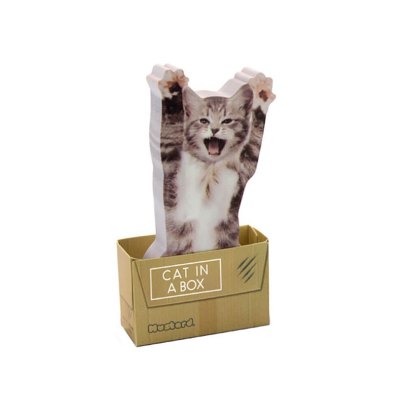 Chat dans une bote